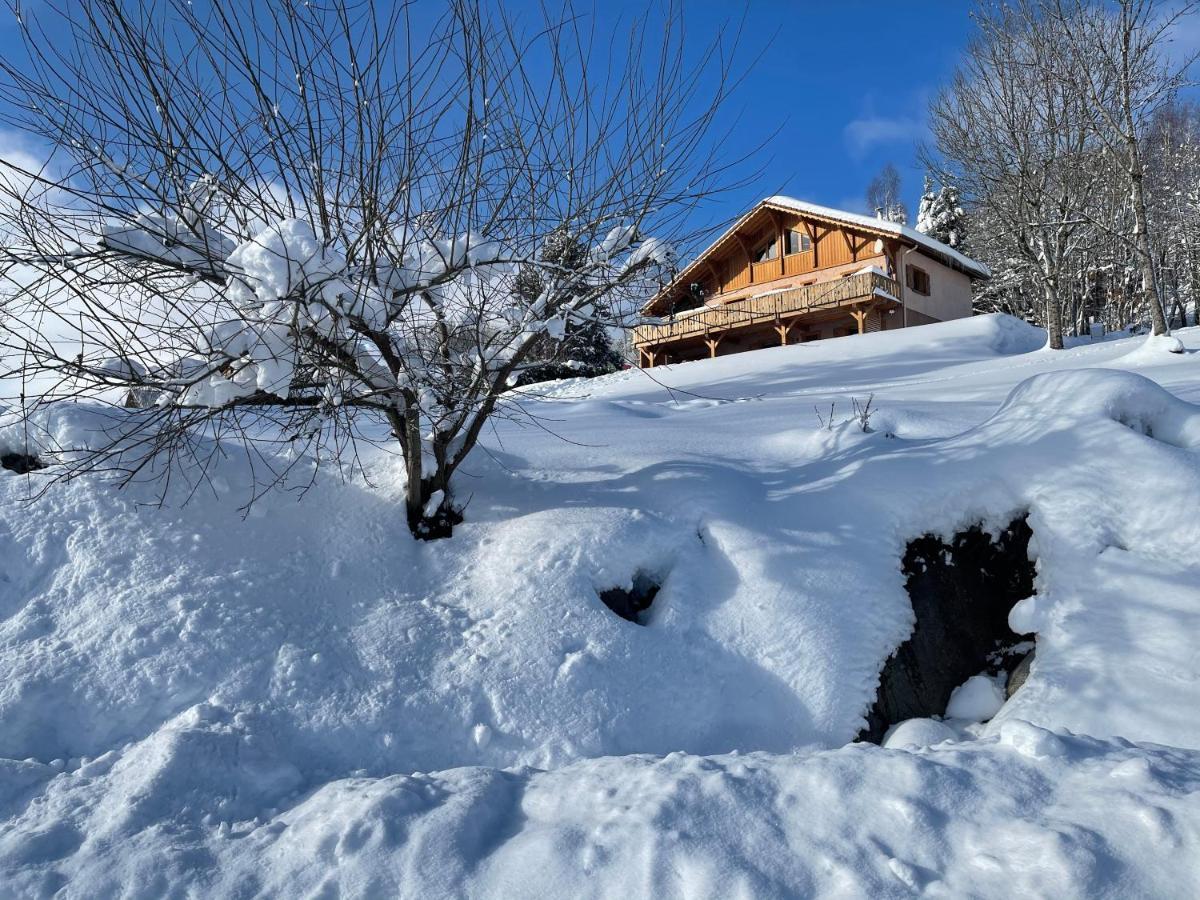Chalet Spa Le Diamant Nathalie Mn La Rouge La Bresse Kültér fotó