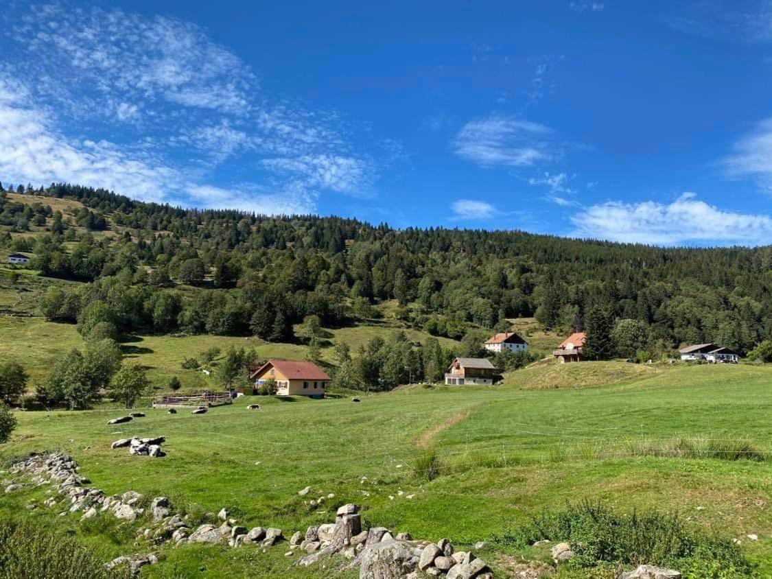 Chalet Spa Le Diamant Nathalie Mn La Rouge La Bresse Kültér fotó