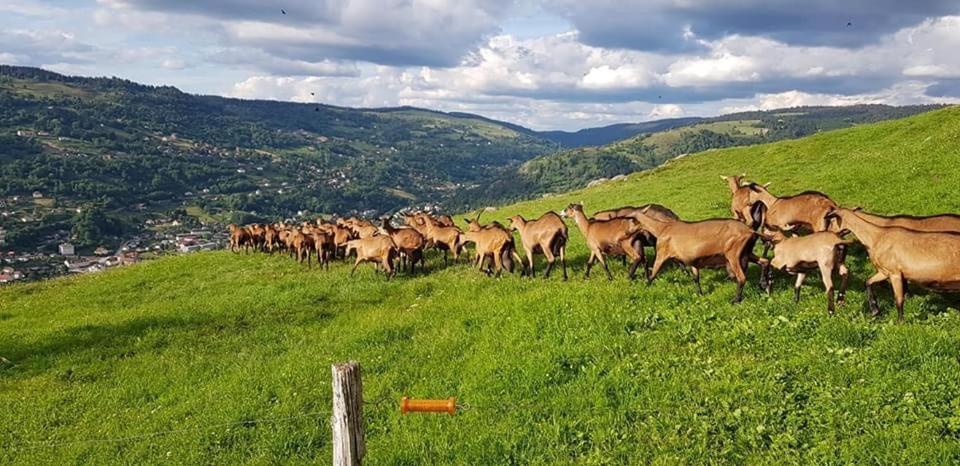 Chalet Spa Le Diamant Nathalie Mn La Rouge La Bresse Kültér fotó