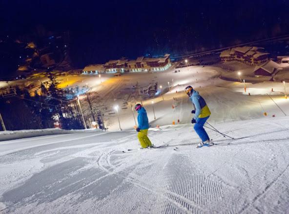 Chalet Spa Le Diamant Nathalie Mn La Rouge La Bresse Kültér fotó